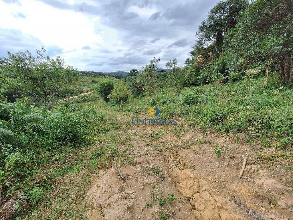 Chácara à venda, 10000M2 - Foto 22