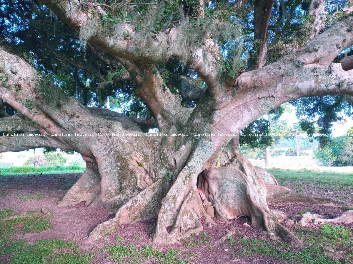 Fazenda à venda, 160000m² - Foto 27