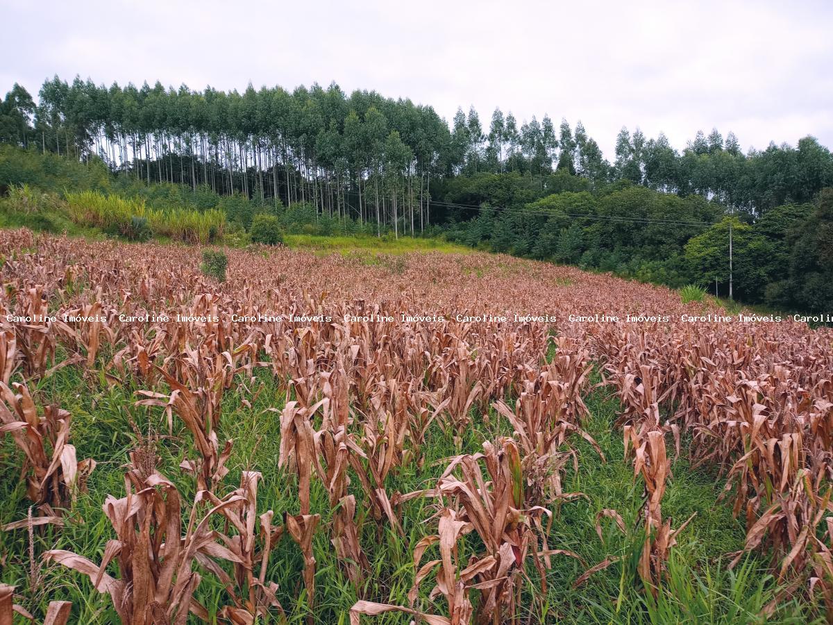 Chácara à venda, 45000m² - Foto 1