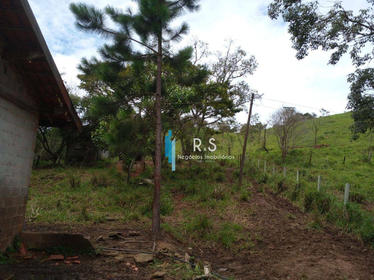 Terreno, 18 hectares - Foto 12