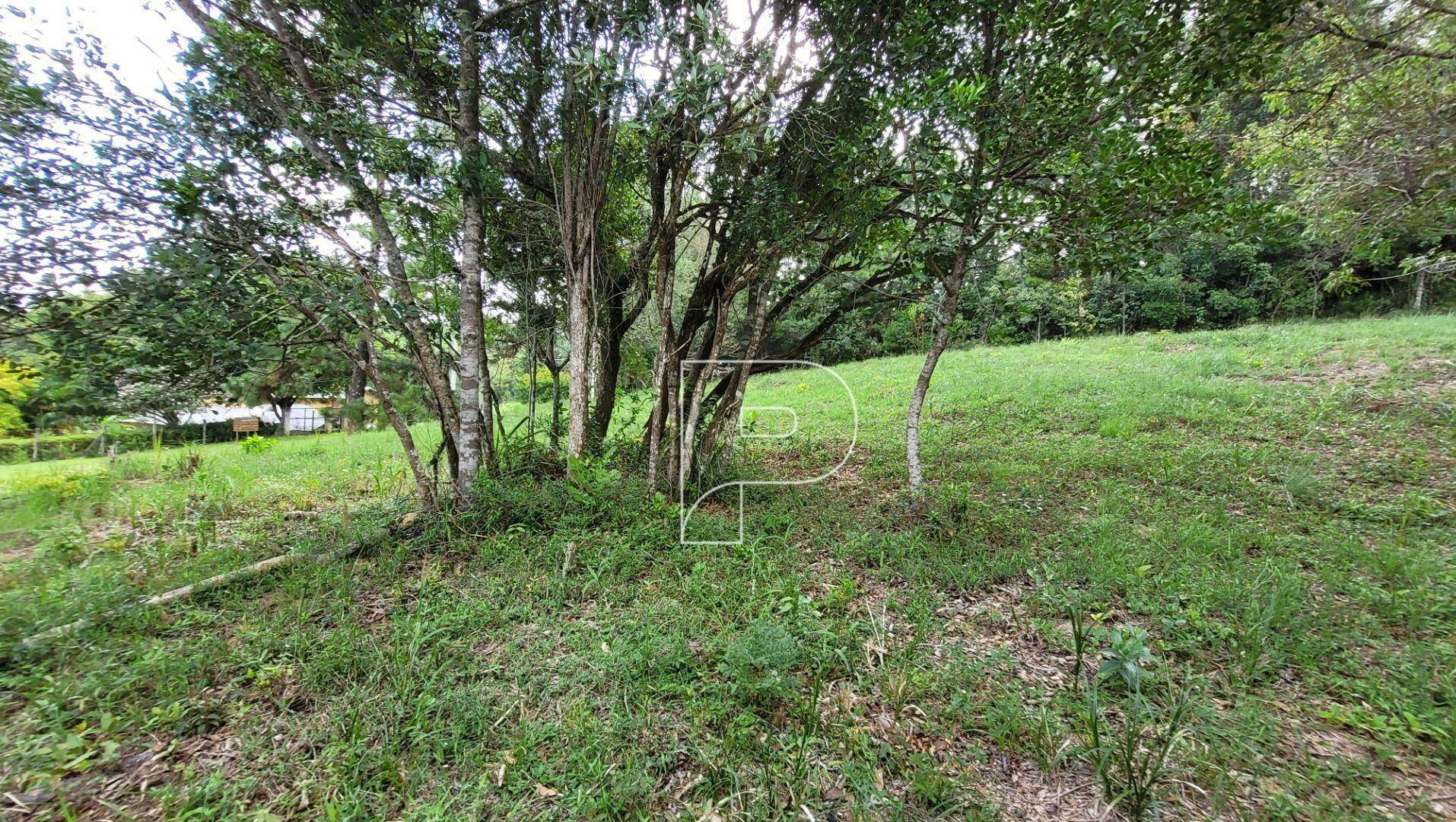 Loteamento e Condomínio à venda, 1540M2 - Foto 3