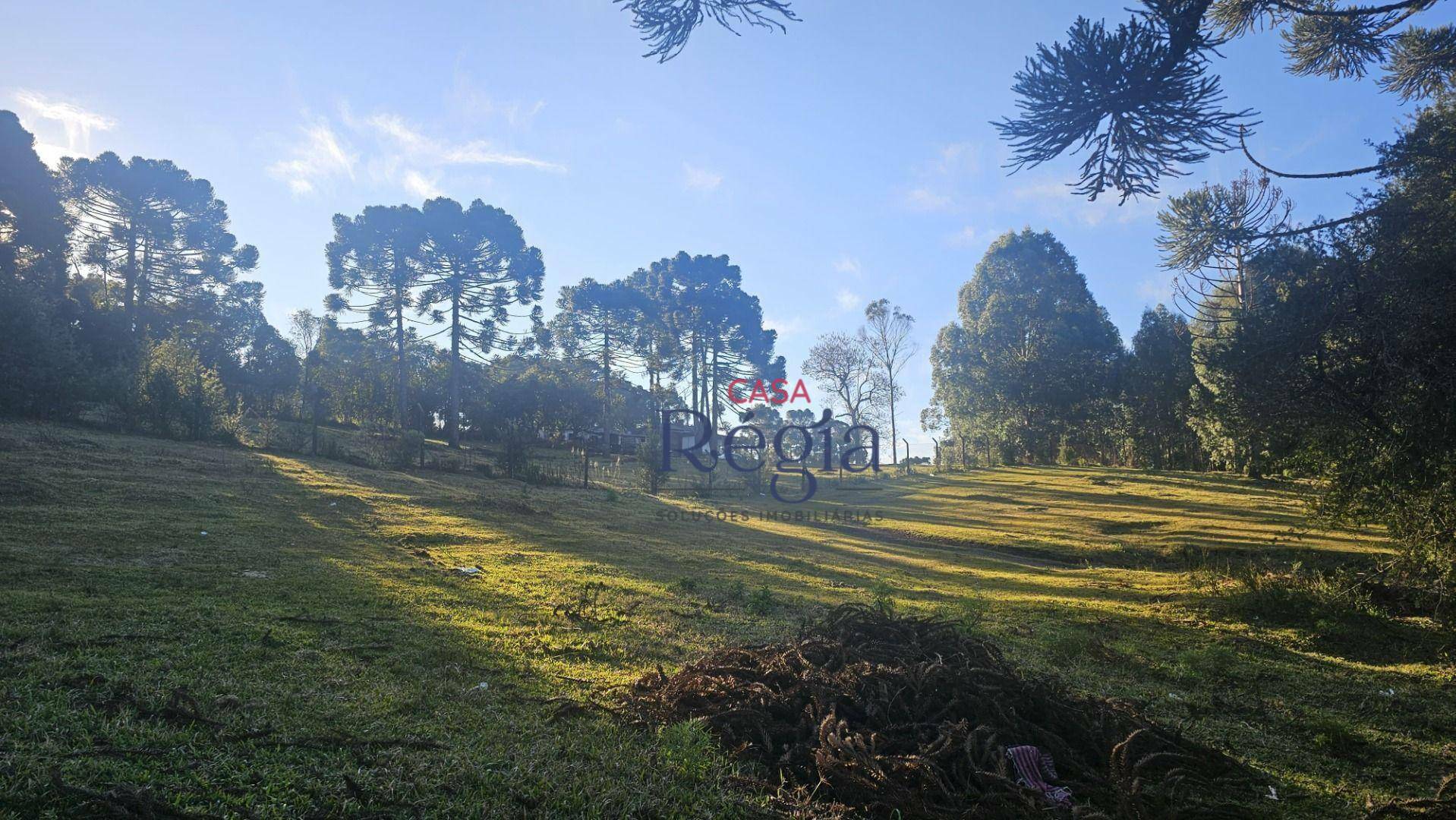 Loteamento e Condomínio à venda, 354M2 - Foto 5