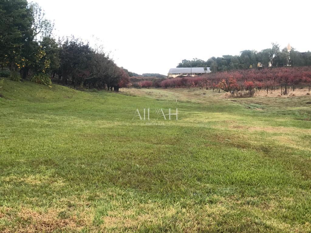 Terreno à venda, 527m² - Foto 5