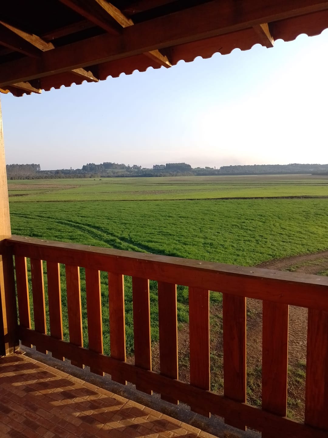 Fazenda-Sítio-Chácara, 529 hectares - Foto 1