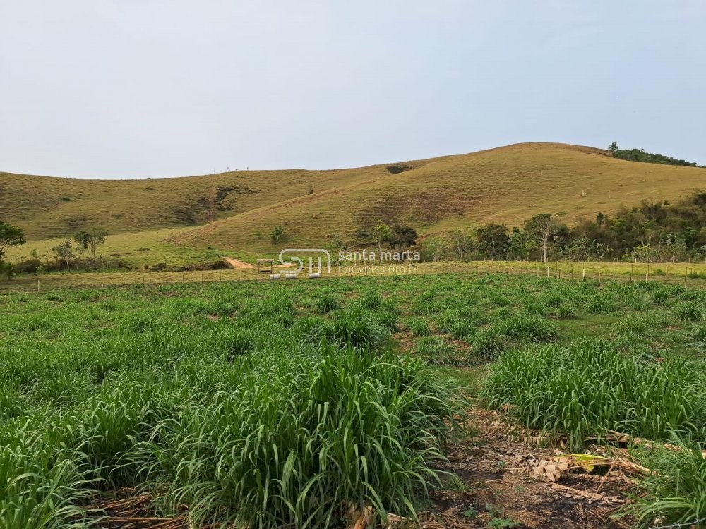 Fazenda à venda com 3 quartos, 86m² - Foto 7