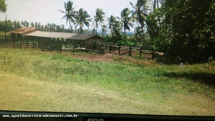 Fazenda à venda com 3 quartos, 170m² - Foto 11