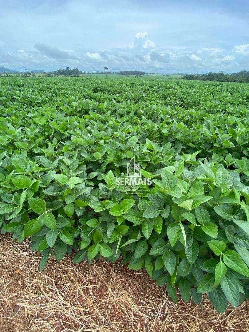 Fazenda à venda, 1434M2 - Foto 10