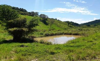 Sítio à venda com 2 quartos, 210000m² - Foto 8