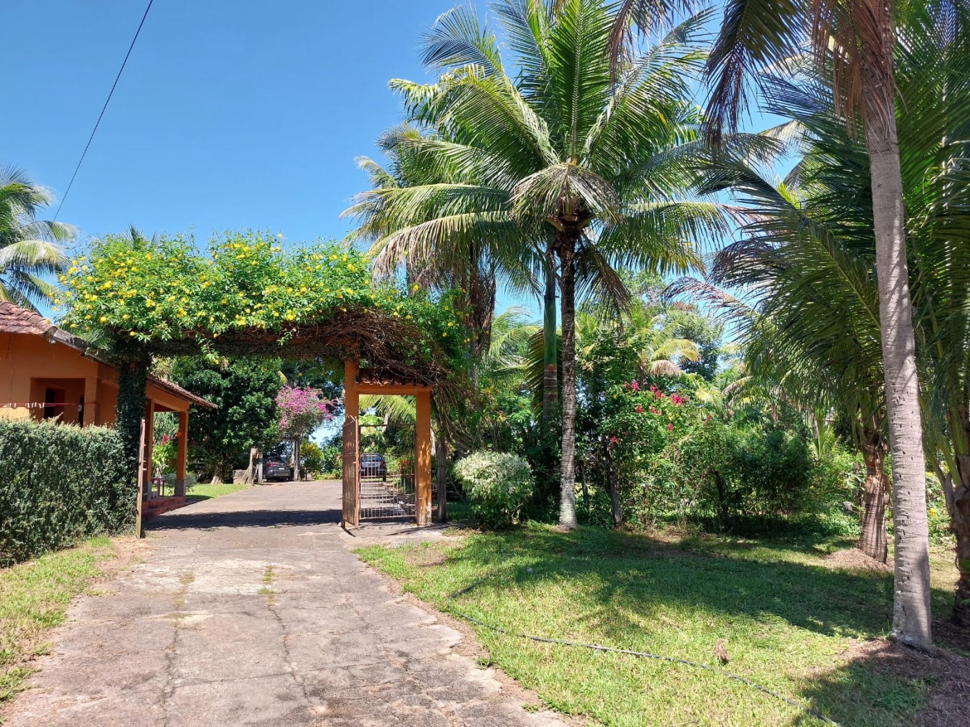 Sítio à venda com 7 quartos, 14m² - Foto 11