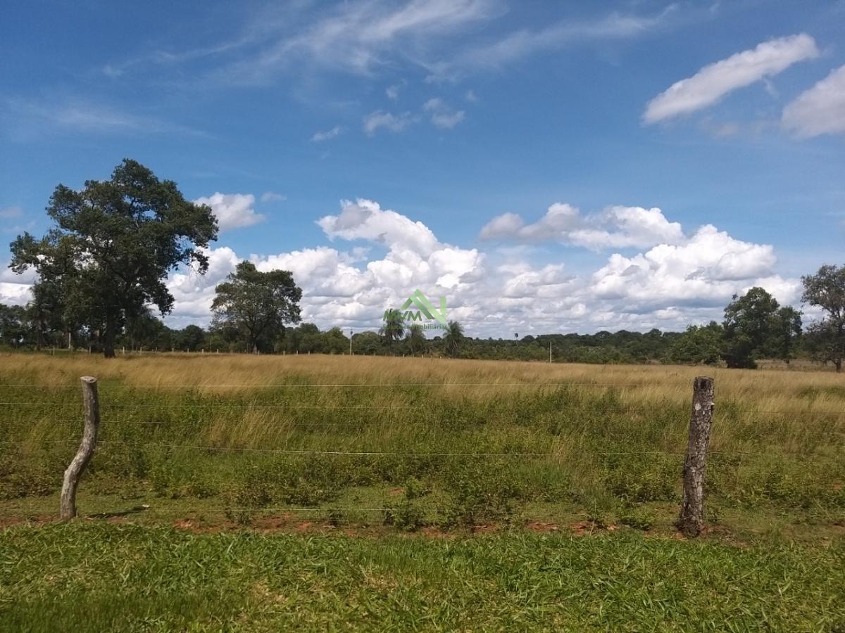 Fazenda à venda com 4 quartos, 430000m² - Foto 24