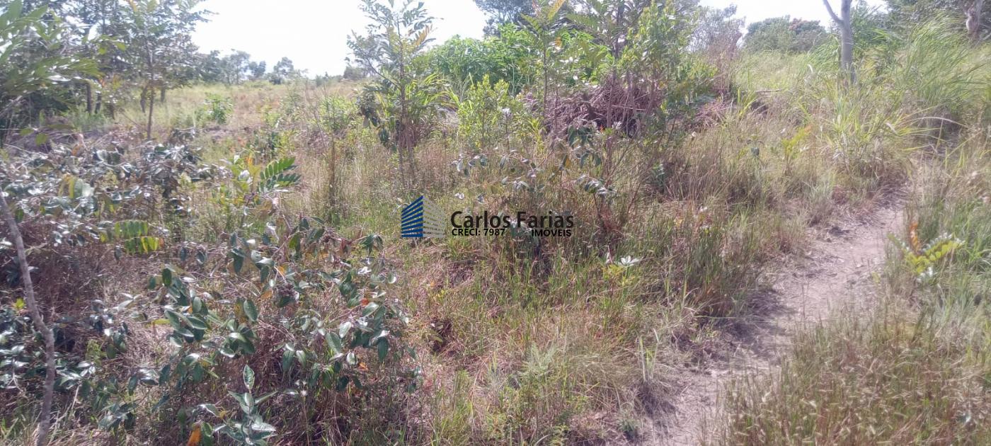 Chácara à venda, 20000m² - Foto 12