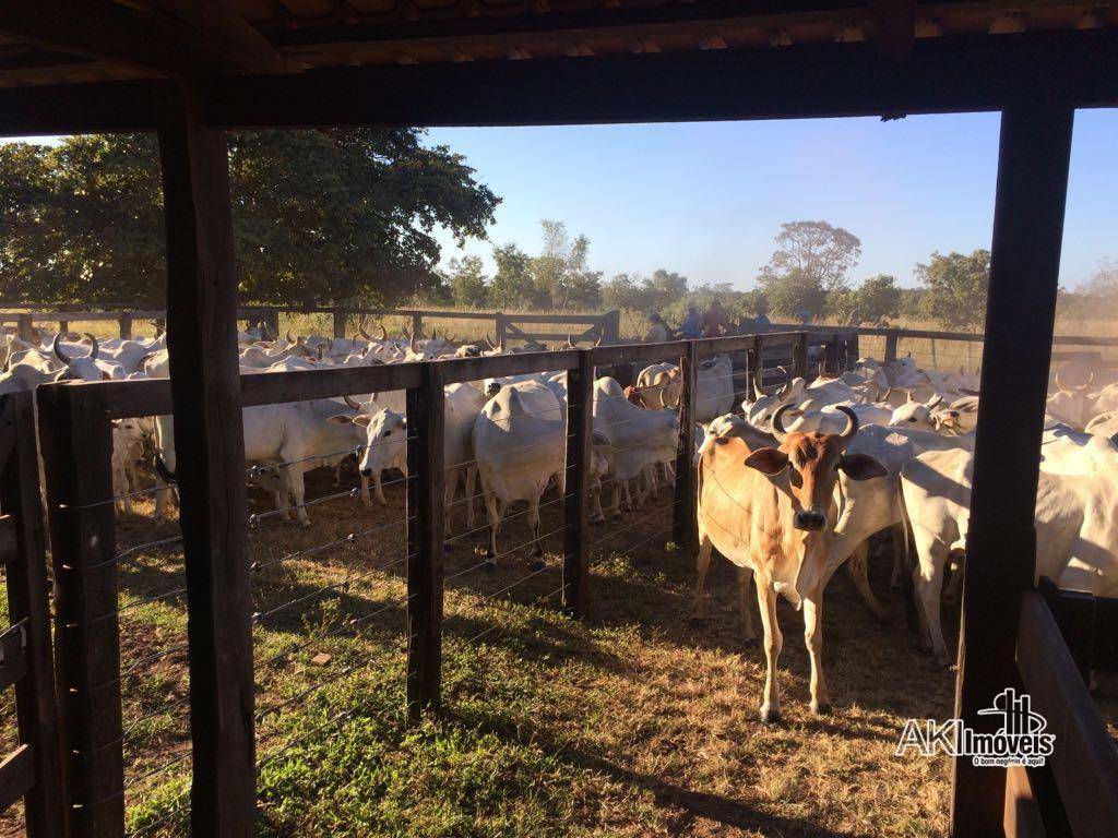 Fazenda à venda, 75000000M2 - Foto 8