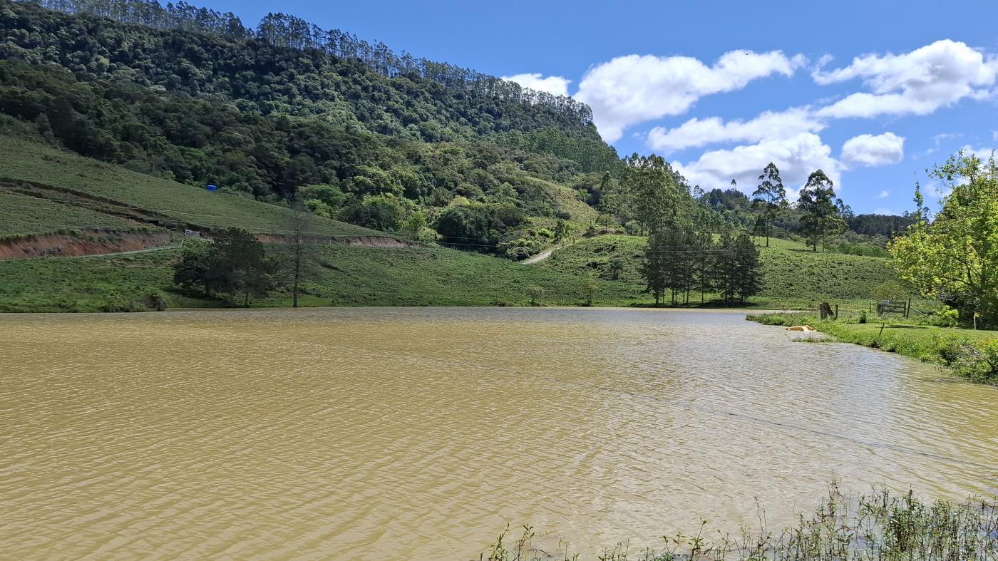 Fazenda à venda com 4 quartos, 1040000m² - Foto 38