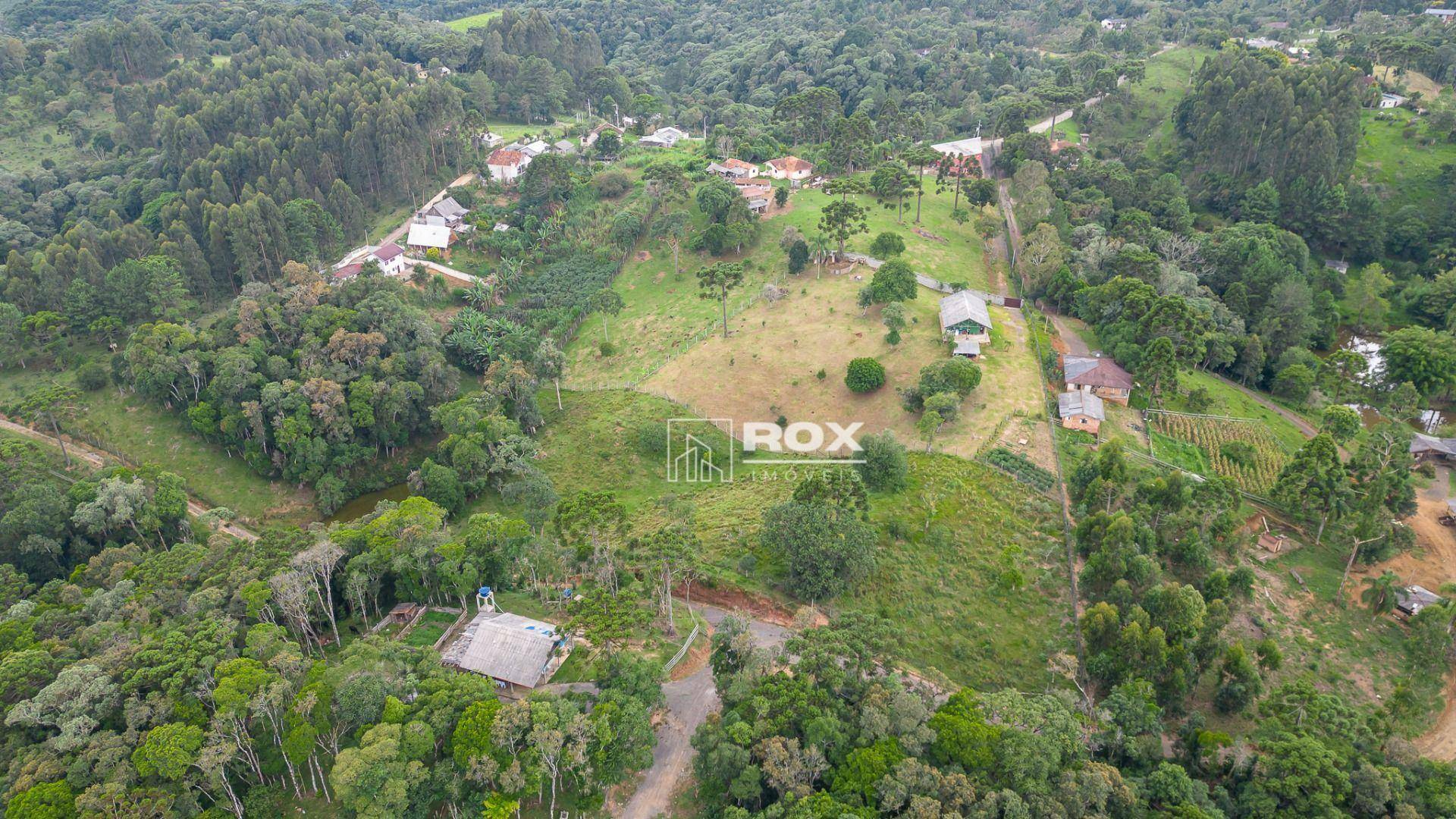 Chácara à venda com 10 quartos, 34360M2 - Foto 36