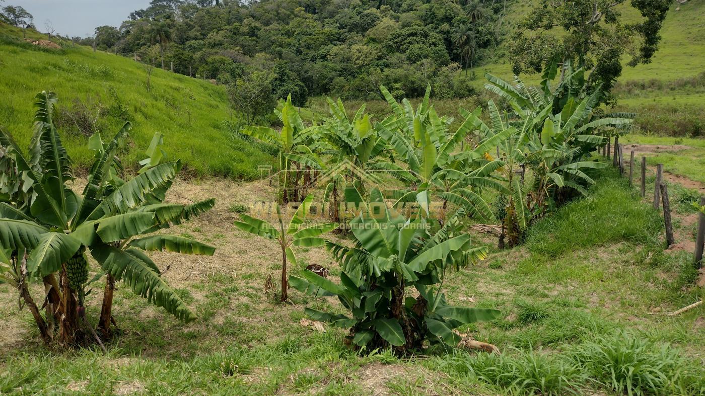 Fazenda à venda, 13m² - Foto 37