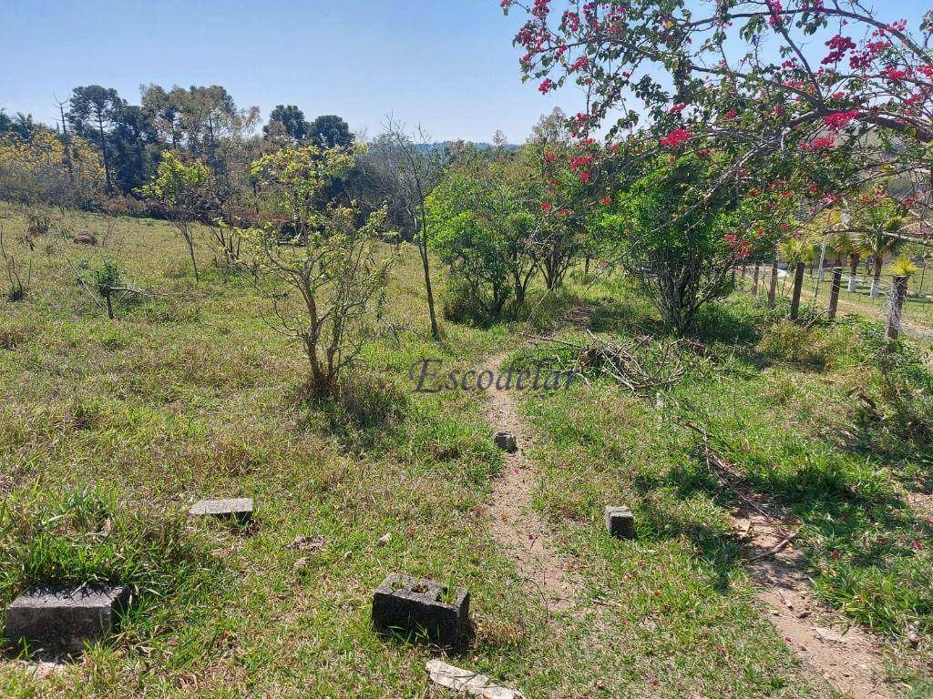 Terreno à venda, 5000M2 - Foto 8