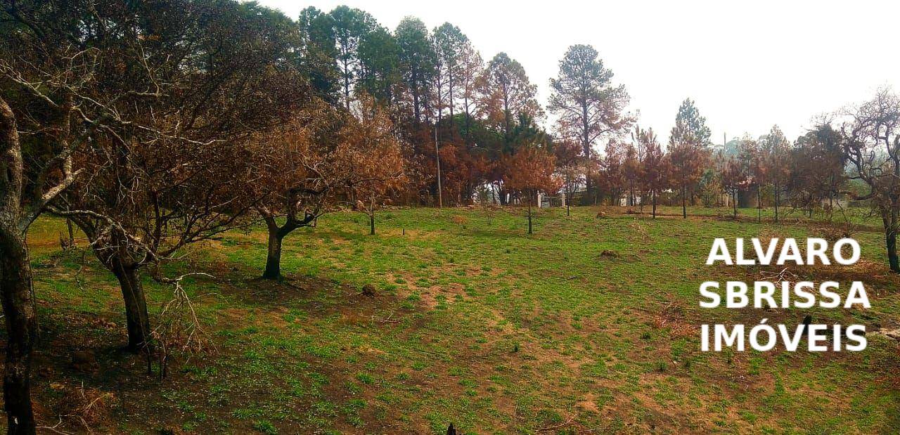 Sítio, 1 quarto, 14 hectares - Foto 23