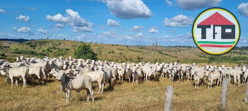 Fazenda à venda, 17085200M2 - Foto 5