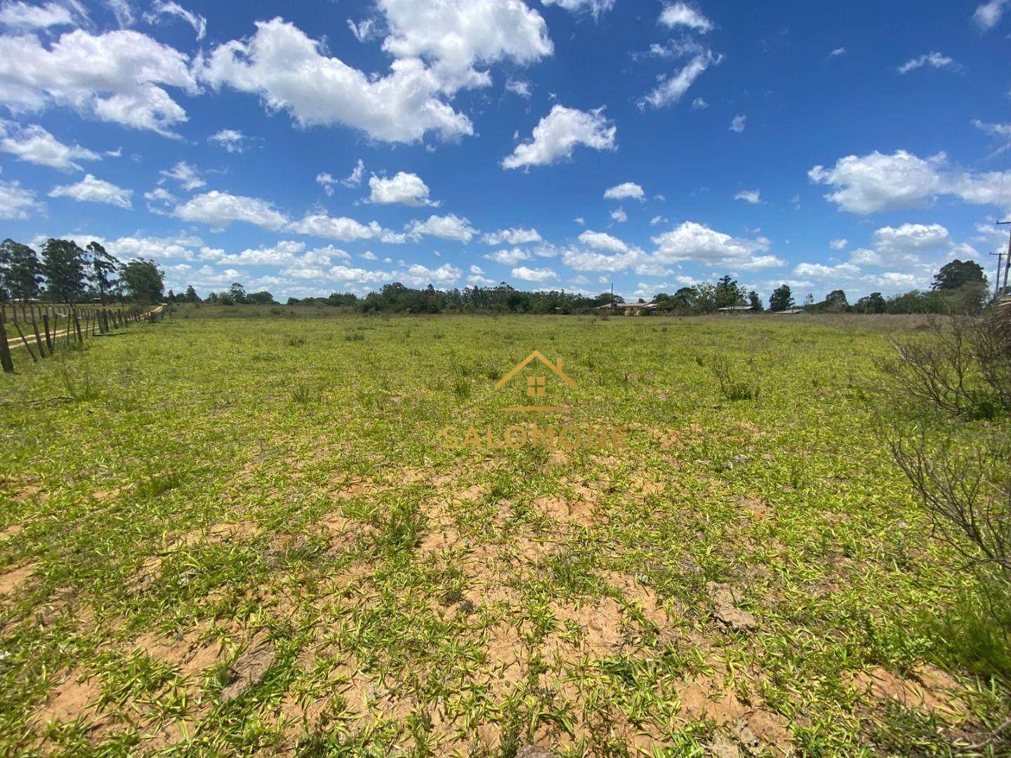 Sítio, 2 hectares - Foto 10