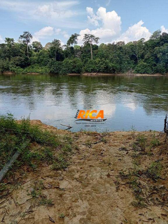 Chácara, 6 hectares - Foto 8