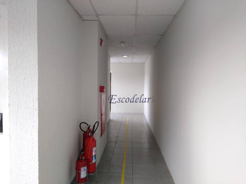 Prédio Inteiro para alugar, 4816m² - Foto 11