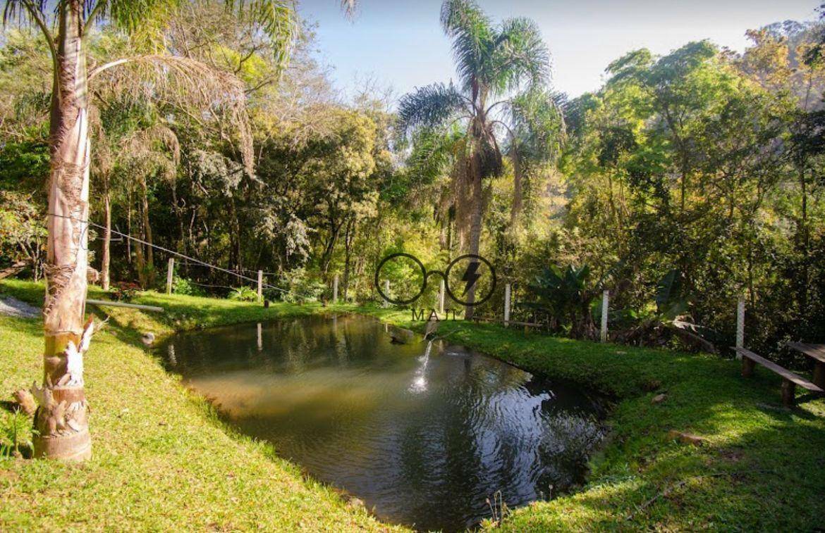 Chácara à venda com 3 quartos, 6500M2 - Foto 6