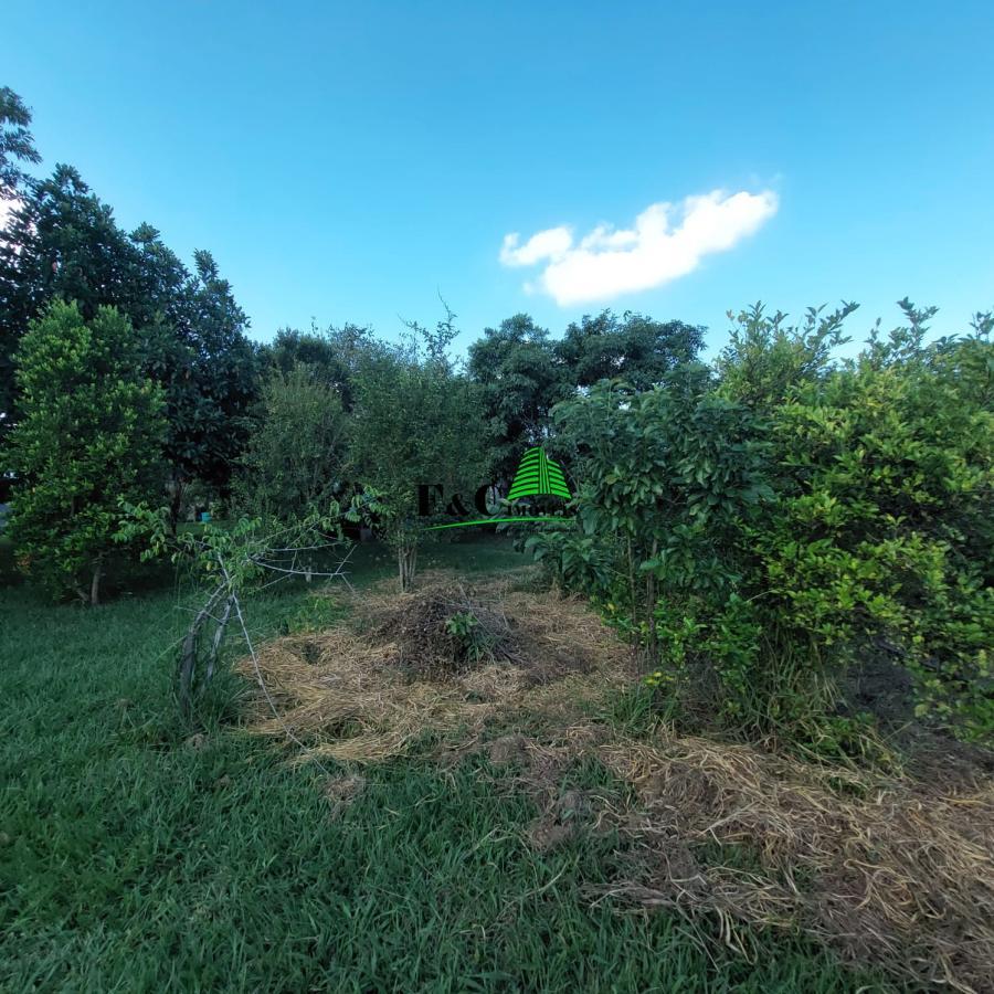 Fazenda à venda com 2 quartos, 20000m² - Foto 5