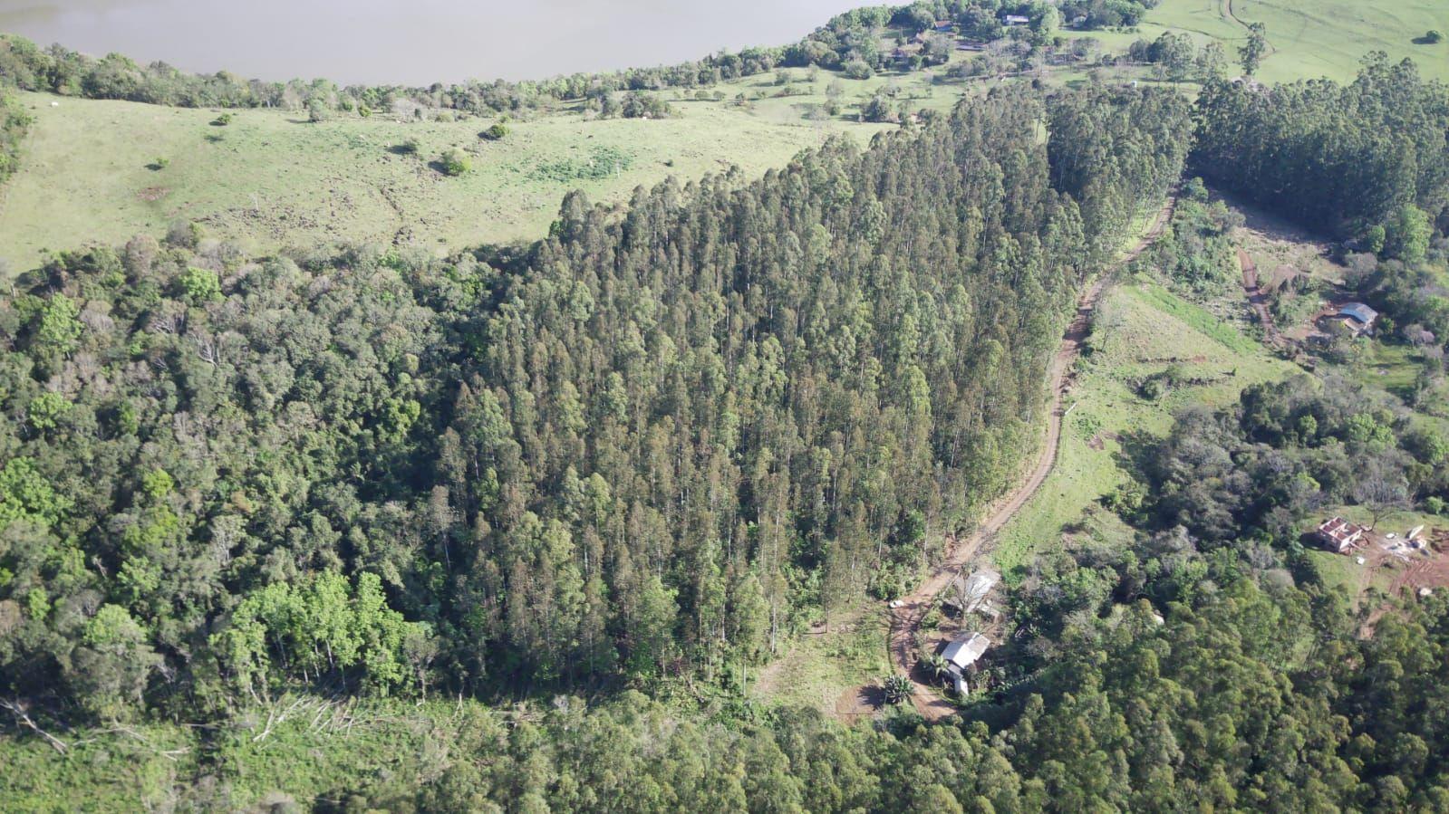 Terreno à venda, 40000m² - Foto 5