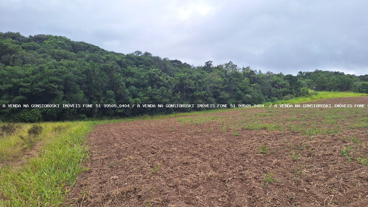 Loteamento e Condomínio à venda, 7250m² - Foto 1