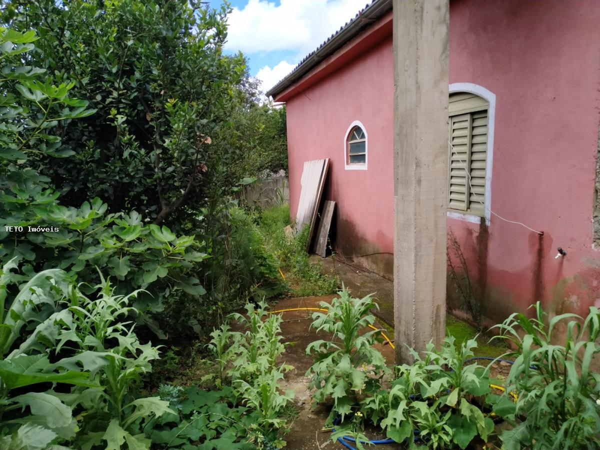 Fazenda à venda com 2 quartos, 700m² - Foto 5