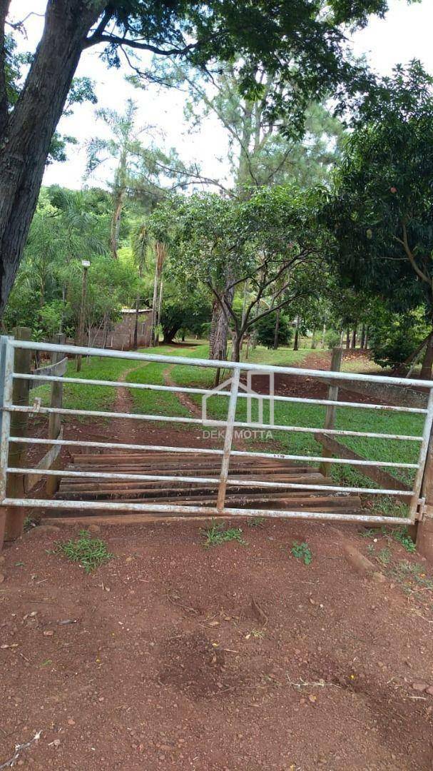 Fazenda à venda com 3 quartos, 250000M2 - Foto 2