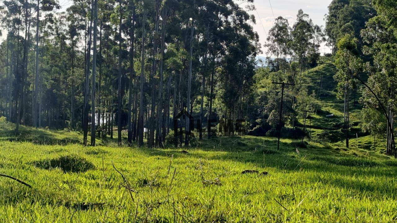Fazenda à venda, 1258400M2 - Foto 14