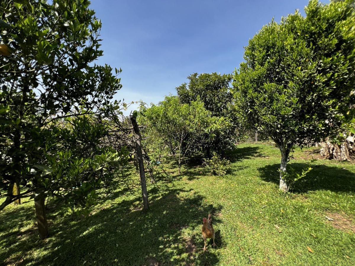 Fazenda à venda, 6300m² - Foto 56