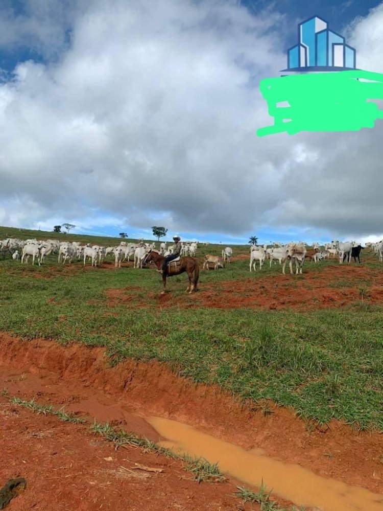 Fazenda à venda, 300m² - Foto 6