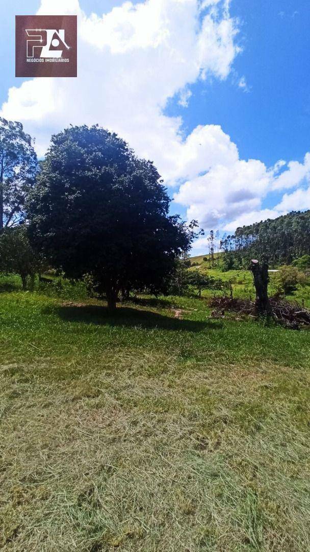 Fazenda à venda com 4 quartos, 1452000M2 - Foto 5