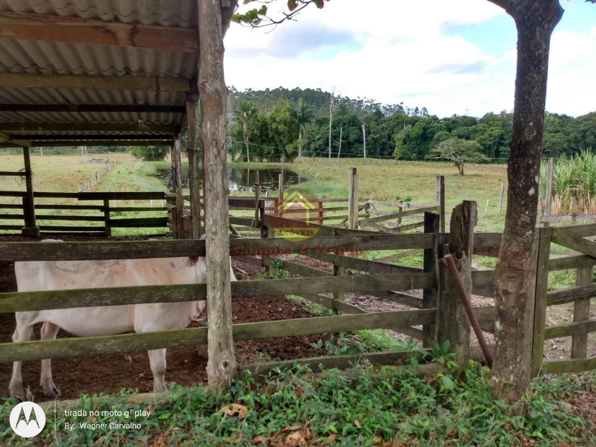 Fazenda à venda, 7m² - Foto 7