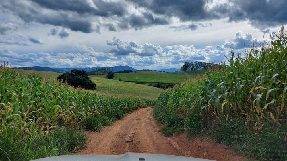 Fazenda à venda, 178m² - Foto 5