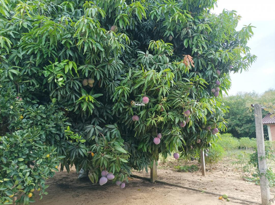 Casa de Condomínio à venda com 2 quartos, 120m² - Foto 16