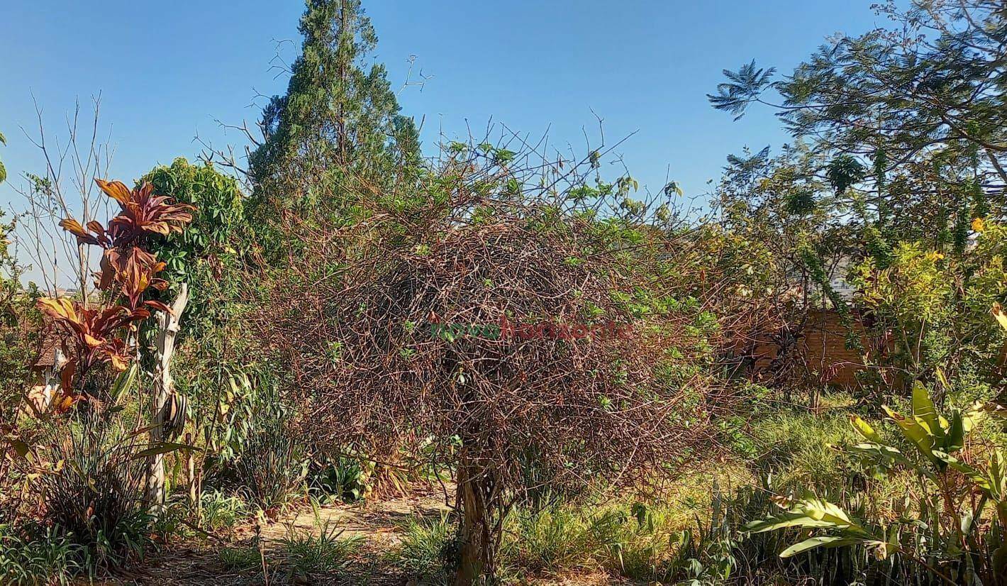 Chácara, 1000 m² - Foto 6