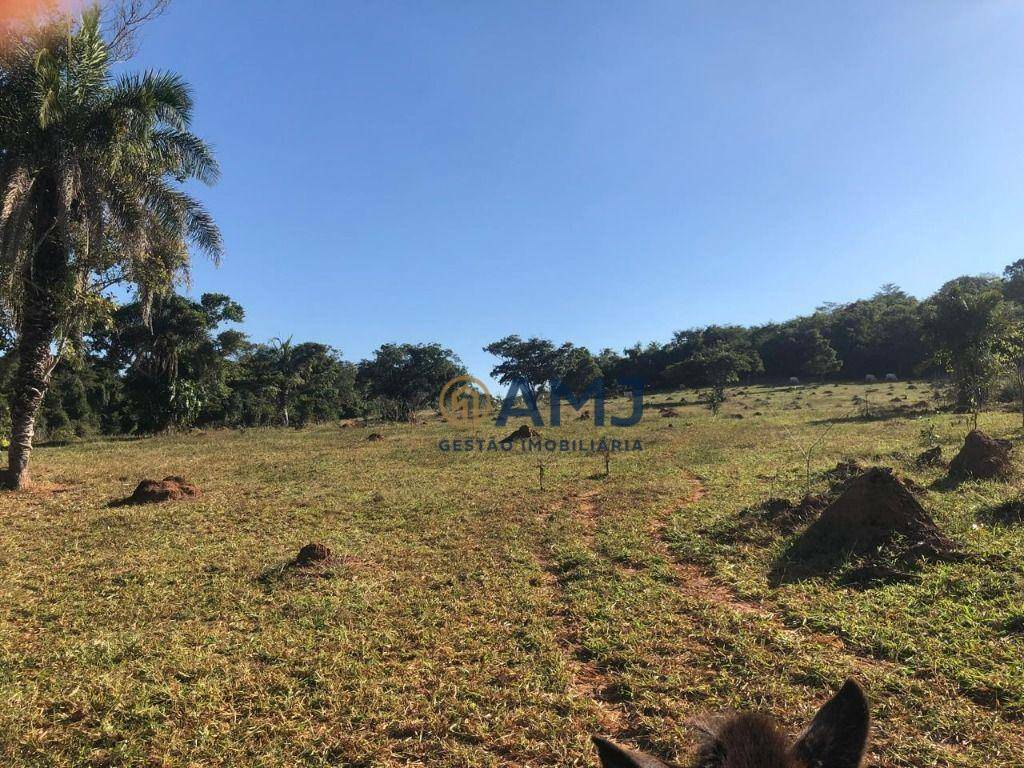 Fazenda à venda, 229899M2 - Foto 19