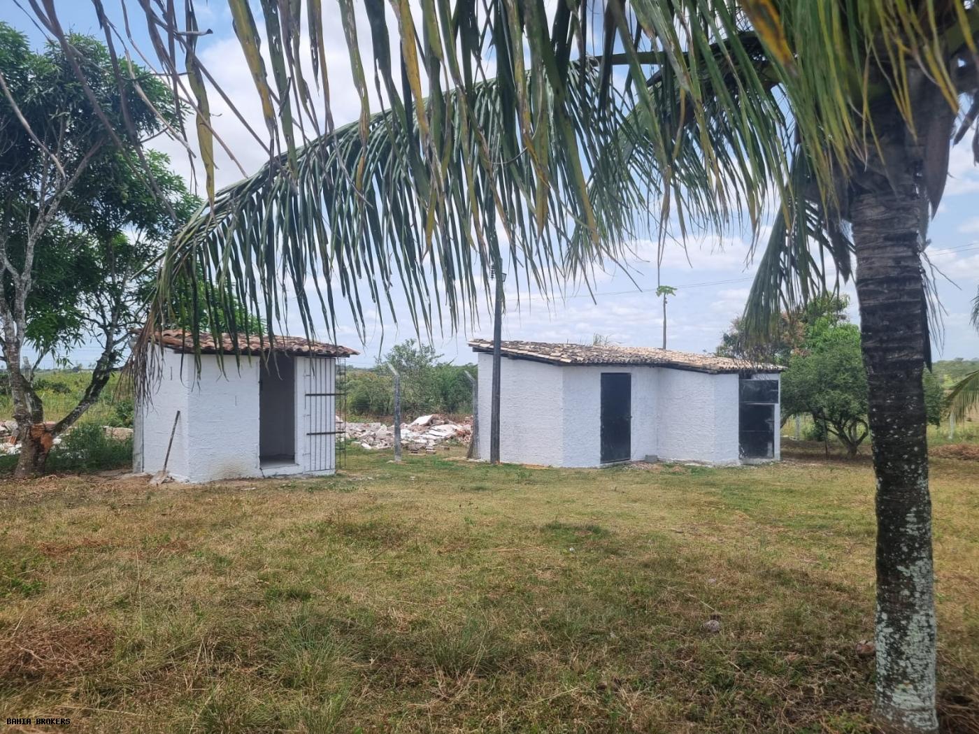 Fazenda à venda, 1000m² - Foto 37