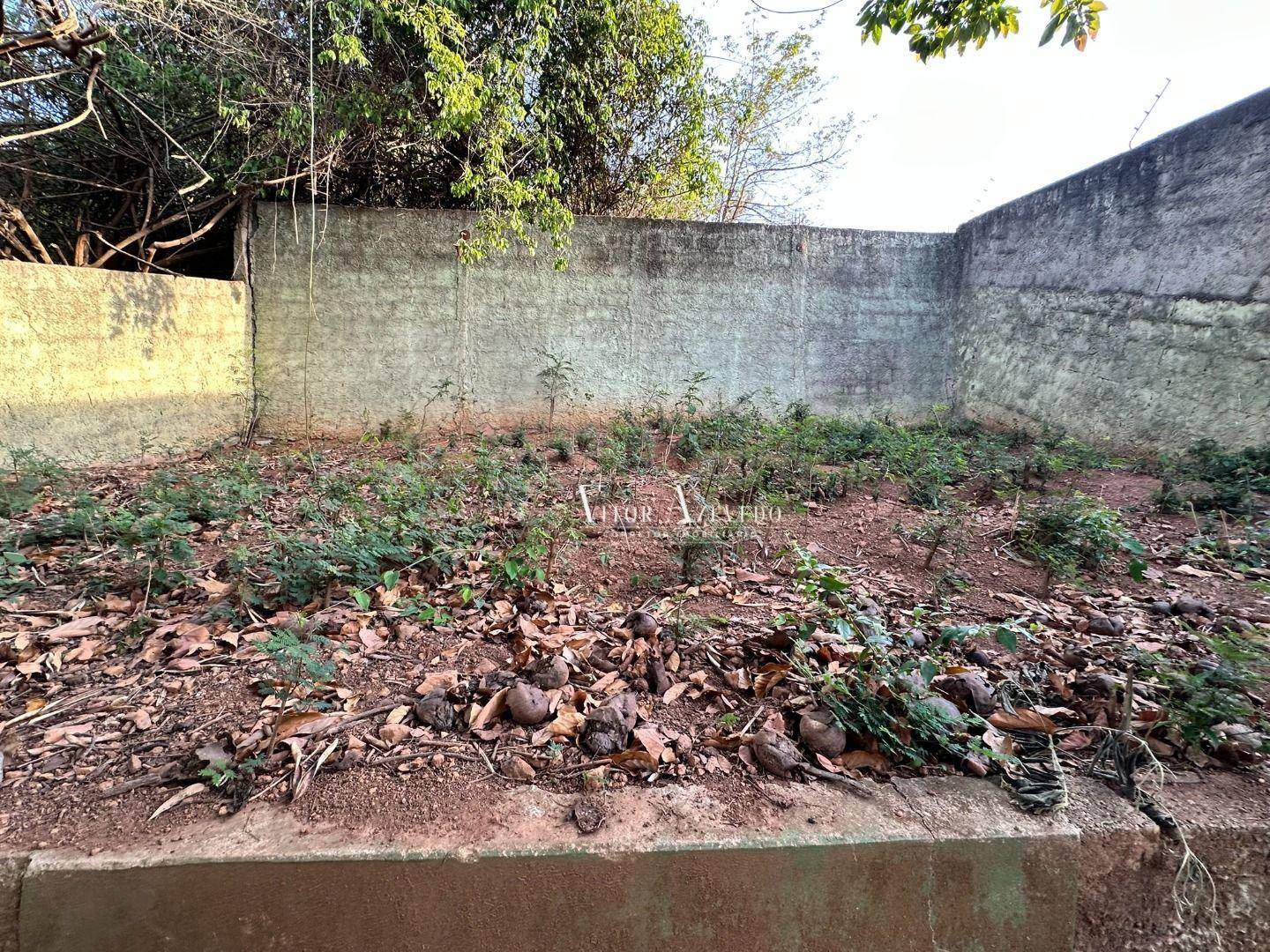 Casa, 3 quartos, 500 m² - Foto 63