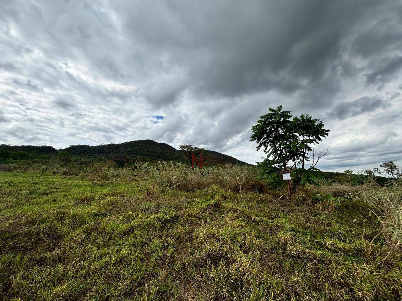 Terreno à venda, 1500M2 - Foto 2