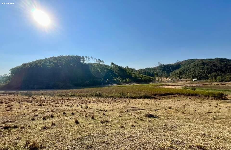 Sítio à venda com 2 quartos, 726000m² - Foto 9