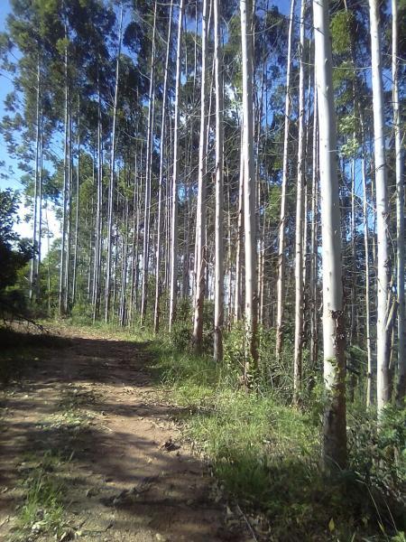 Loteamento e Condomínio à venda, 90000m² - Foto 4