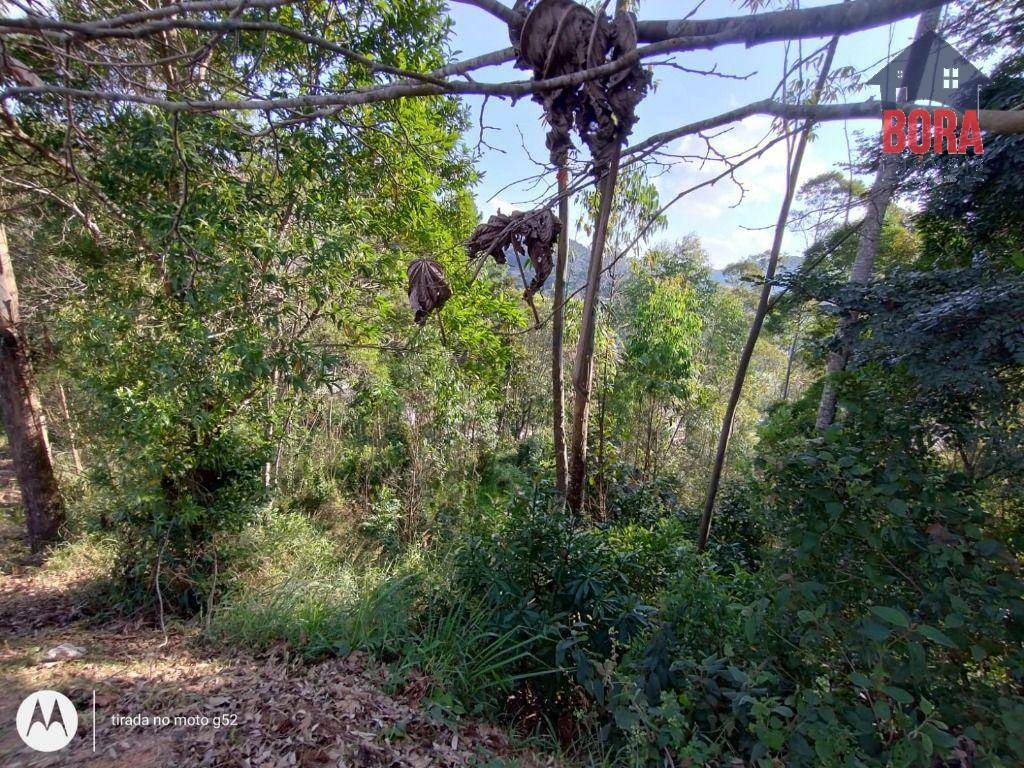 Terreno à venda, 1000M2 - Foto 6