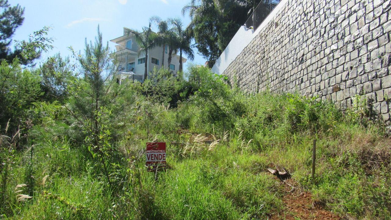 Terreno, 452 m² - Foto 3