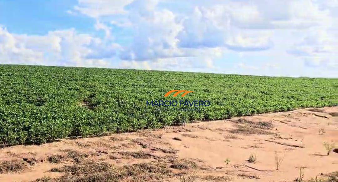 Fazenda, 194 hectares - Foto 3