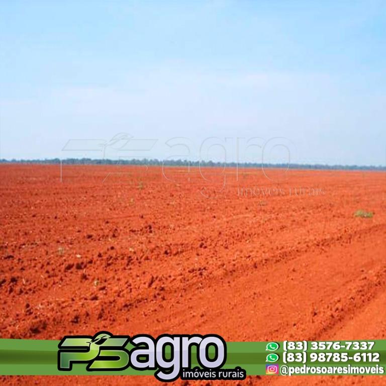 Fazenda-Sítio-Chácara, 46000 hectares - Foto 1