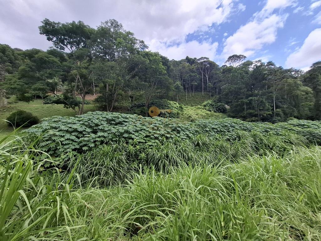 Terreno à venda, 11000m² - Foto 10